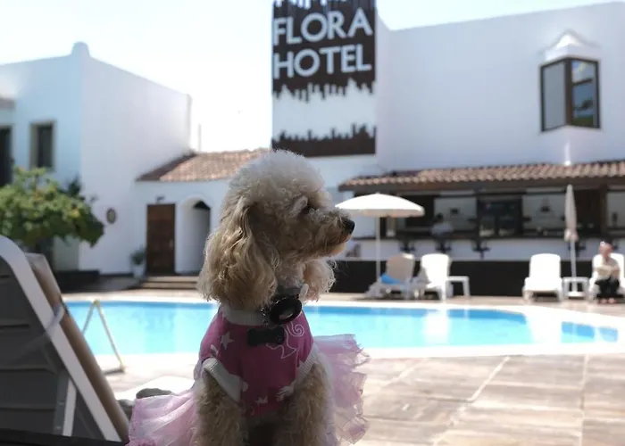 Flora Szálloda 3*